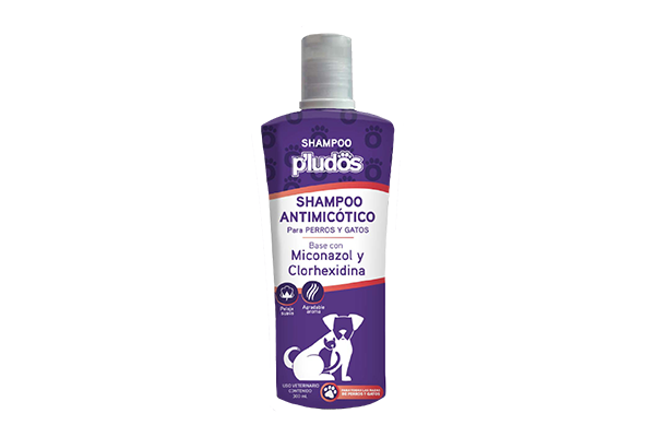 P’ludos Shampoo Antimicótico 300 ml.